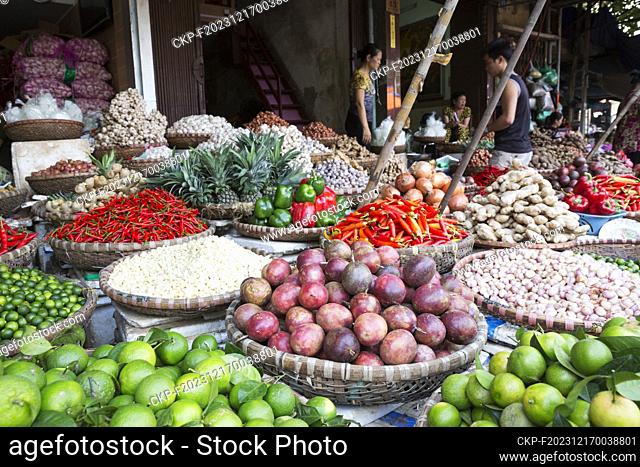 street market with food, fruit, vegetable in Hanoi (CTK Photo/Ondrej Zaruba)