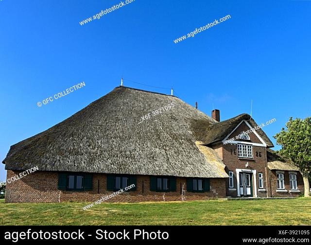 Traditional farmhouse type Haubarg, Haubarg Knutzenswarft, Westerhever, Eiderstedt peninsula, Schleswig-Holstein, Germany