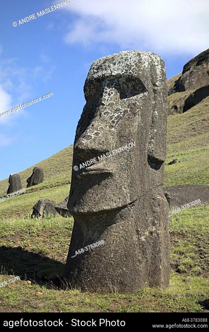 Stone sculptures, Moai, at the stone quarry on the slope to the crater Rano Raraku which is an extinct volcanic crater on Easter Island