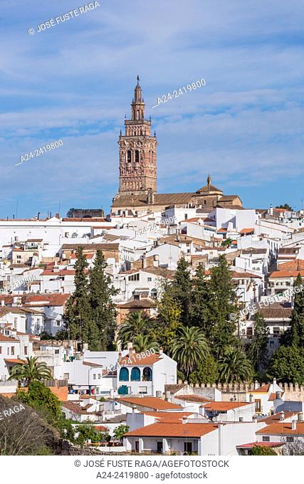 Spain , Extremadura Region , Jerez de los Caballeros City, San Miguel Church belry