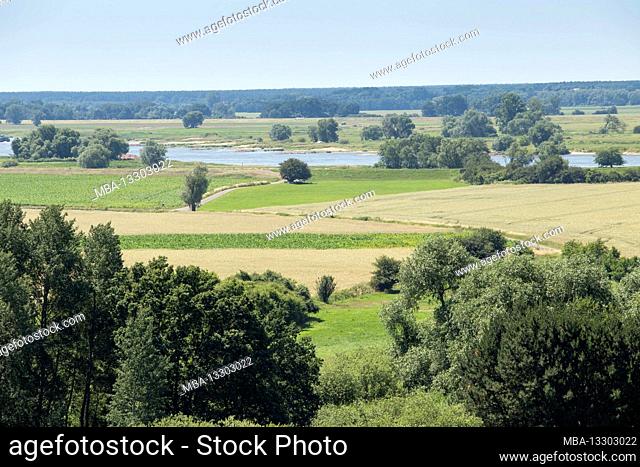View from Kehnert on the Elbe river landscape