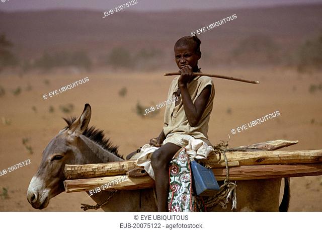Young boy on donkey carrying wooden stakes near Bouza