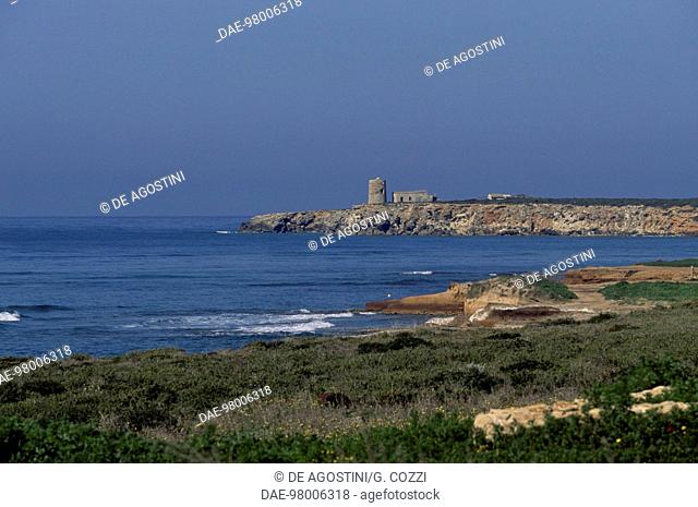 Coastline and watchtower near San Giovanni di Sinis, Sinis Peninsula, Sardinia, Italy