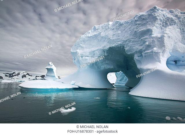 Iceberg detail in and around the Antarctic Peninsula during the summer months. More icebergs are being created as global warming is causing the break up of...