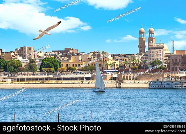 Seagull fliying over river Nile in Luxor, view of city and sailboats