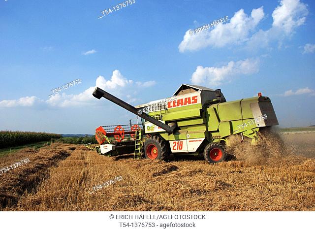Combine harvester in a wheat field