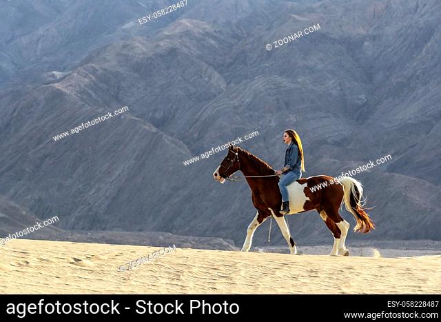 A young brunette female spends time with her horse in a desert environment