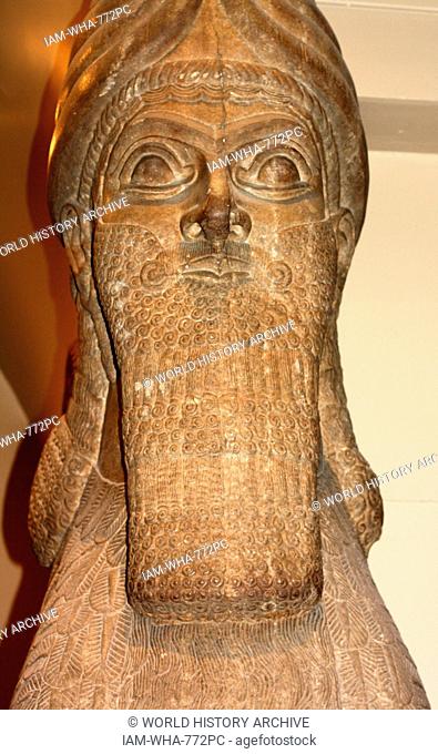 Sculpture of winged human headed lion. Assyrian (circa 865-860 BC) from Nimrud. A protective spirit which guarded a door in the North-West Palace