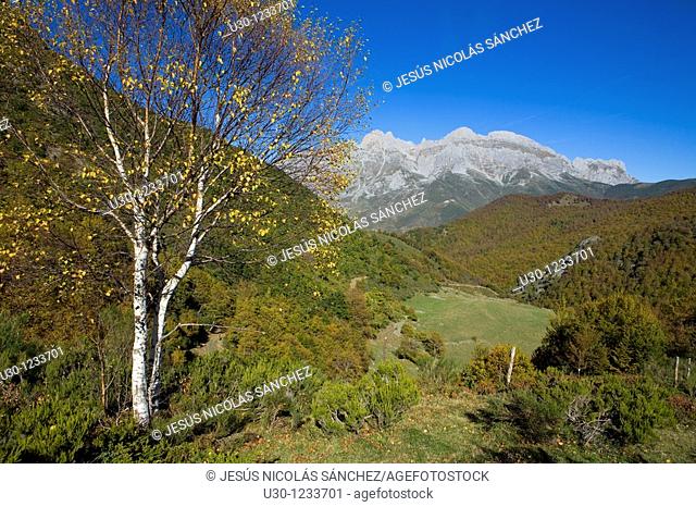 Overview of Cornion Massif, in Picos de Europa National Park  Santa Marina de Valdeon  Leon  Castilla y Leon  Spain