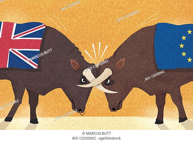 UK and European Union bulls with horns locked in conflict