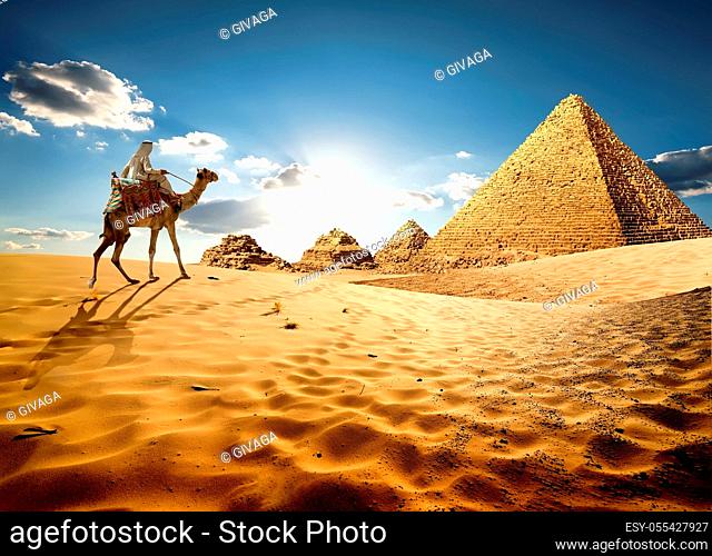 desert, pyramid shape, camel, bedouin