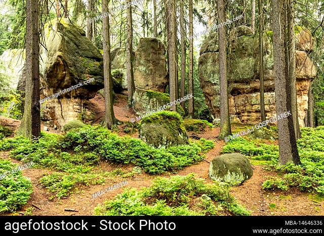 Europe, Poland, Europe, Poland, Lower Silesia, Stolowe Mountains National Park - Skalne Grzyby