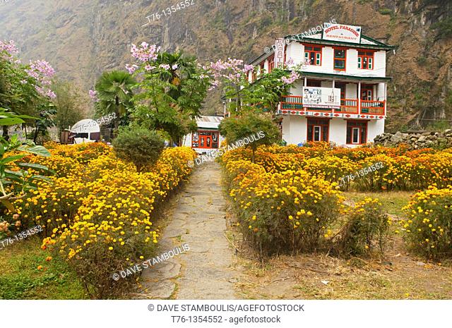 lodge and garden in the Annapurna region of Nepal