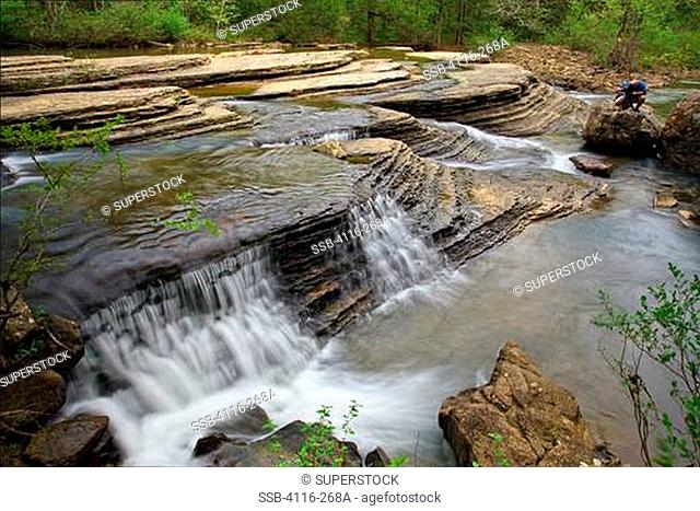 Creek flowing in a forest, Falling Water Creek, Ozark Mountains, Ozark National Forest, Arkansas, USA
