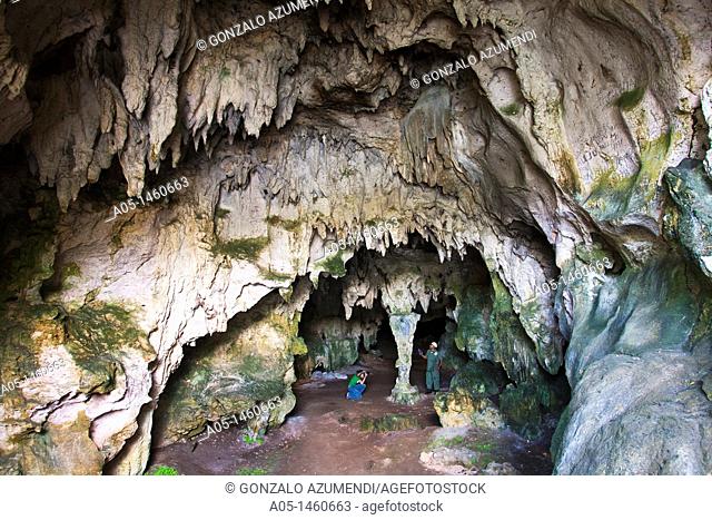 San Gabriel or Angel's cave  Los Haitises National Park  Samana Bay  Dominican Republic  Caribbean