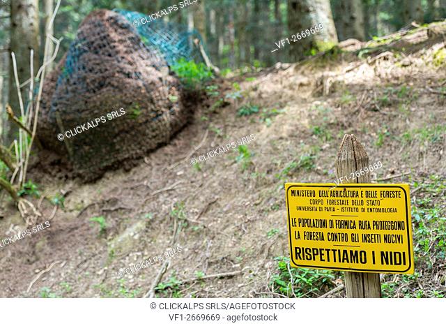 Rufa ant nest with a signboard that explains its help in killing wood pests, Casentinesi Forests NP, Emilia Romagna district, Italy