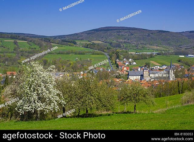 Bischofsheim, Rhön, Lower Franconia, Bavaria, Germany, Europe