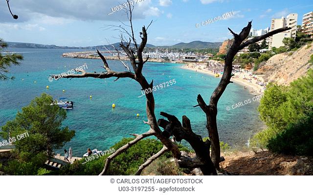 Small beach and bay in Portal Nous, near Palma de Majorca, Balearic Islands, Spain, Europe