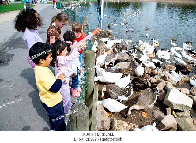 Children feeding the ducks on a visit to a city farm