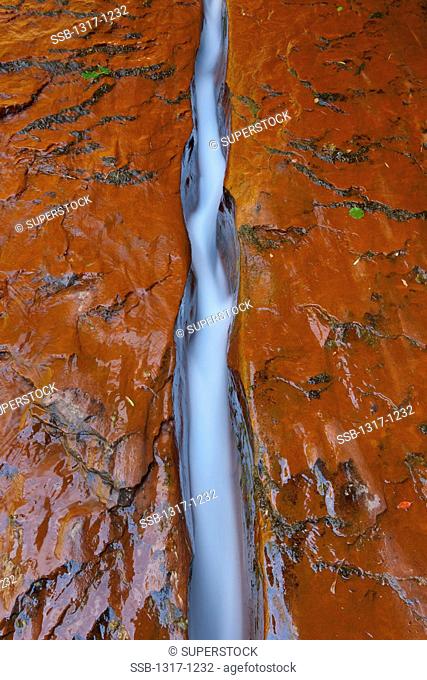 USA, Utah, Zion National Park, Crack with flowing water through The Subway on left fork of North Creek