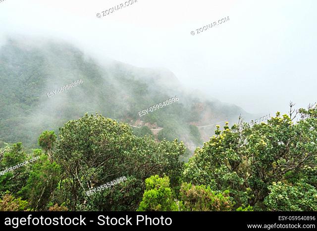 Fog and cloud formation along the TF-134 in Tenerife during the drive from the Anage Mountains to Benijo Beach