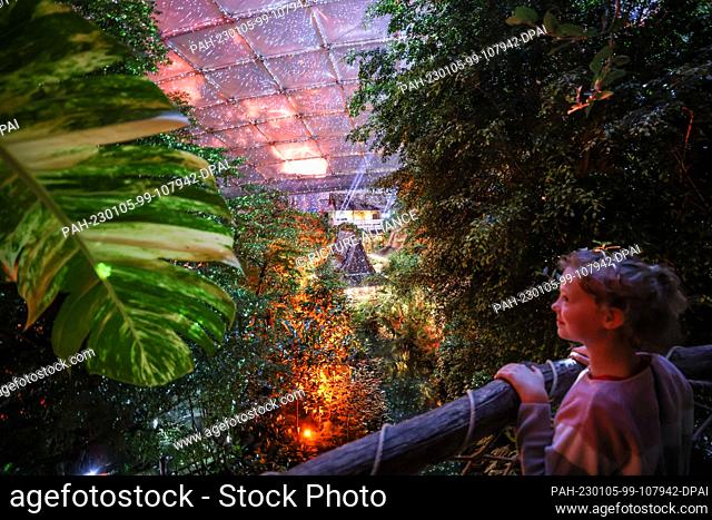 04 January 2023, Saxony, Leipzig: Nine-year-old Hanna marvels at the ""Magical Tropical Glow"" in Gondwanaland at Leipzig Zoo
