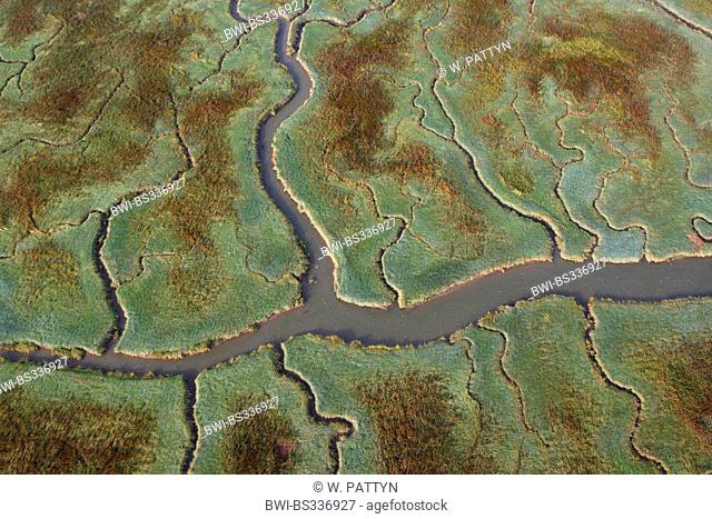 aerial view to branched river scenery Verdronken land van Saeftinghe, Netherlands, Zeeuws-Vlaanderen, Verdronken land van Saeftinghe