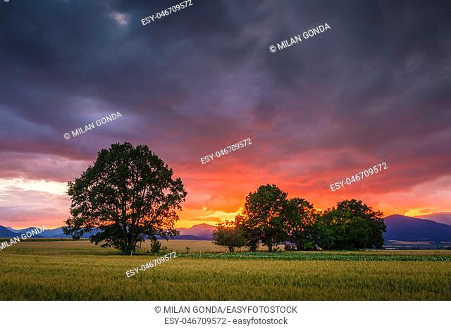 Rural landscape with fields, trees and distant mountains in Turiec region, central Slovakia.