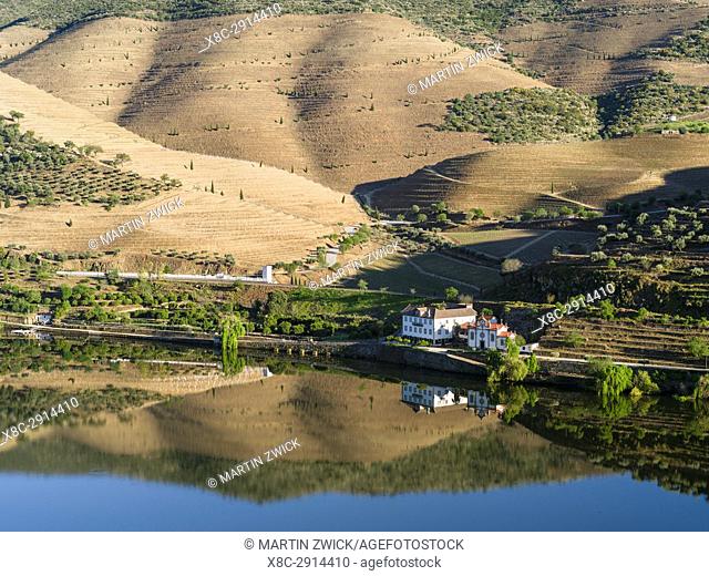 Valley of river Douro near village Coleja. The valley of river Douro. It is the wine growing area Alto Douro and listed as UNESCO World heritage