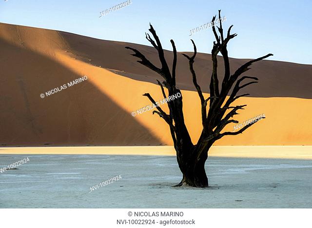 The red dunes of Sossusvlei and the dead trees of Deadvlei, Namibia