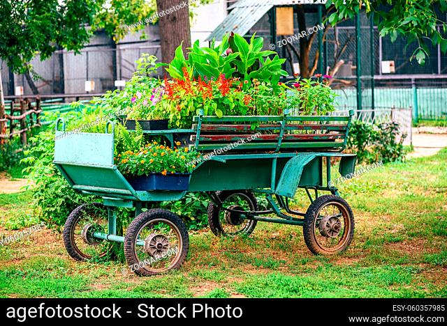 Old green wagon full of flowers on a farm