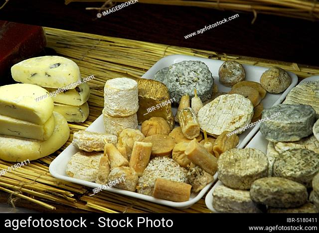 Different kinds of cheese in shop, Paris, France, Europe