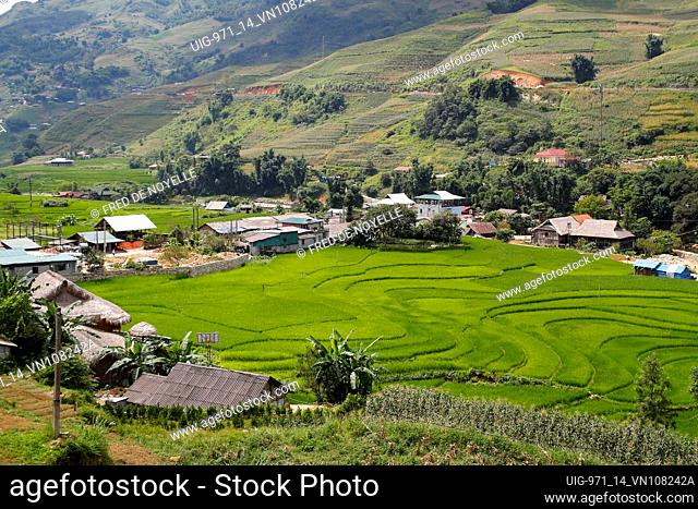 Rice fields on terraced. Sapa. Vietnam