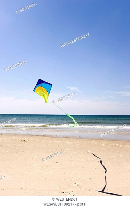 Germany, Baltic sea, Kite flying on beach