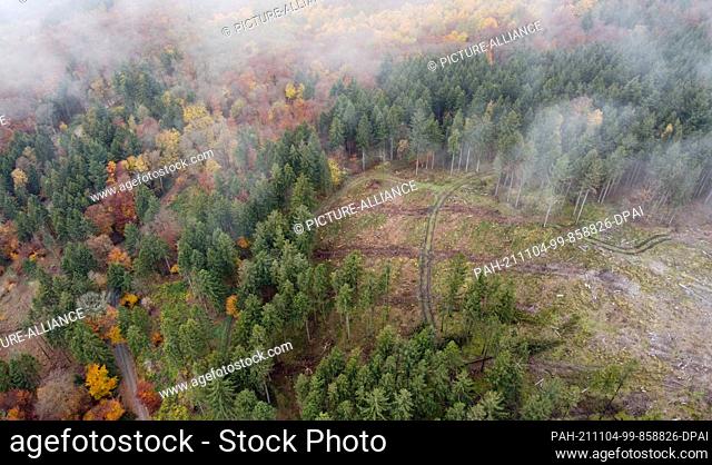 PRODUCTION - 02 November 2021, Hessen, Schmitten: A clearing is seen in the Hochtaunus near Schmitten in a forest patch with beech and spruce trees (aerial view...