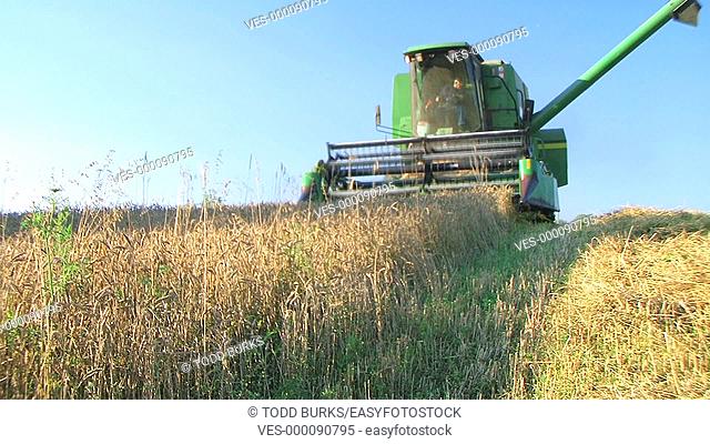 Combine harvesting wheat crop