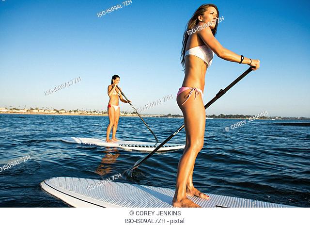 Two women stand up paddleboarding, Mission Bay, San Diego, California, USA