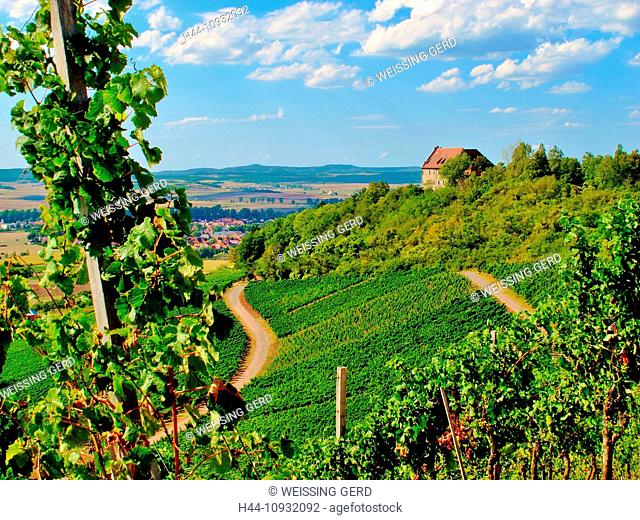 Germany, Franconia, castle high corner, vineyard, vineyard, shoots, agriculture, sky, clouds
