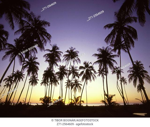 Caribbean, Nevis, Pinney's Beach, sunset,