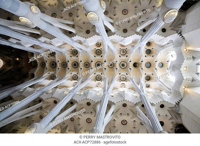 Interior of La Sagrada Familia Basilica designed by the famous architect Antoni Gaudi, Barcelona, Spain, Europe