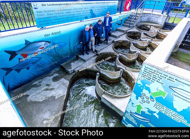 04 October 2022, Mecklenburg-Western Pomerania, Wismar: Till Backhaus (SPD, l), the Minister of Agriculture, Environment and Climate Protection of...