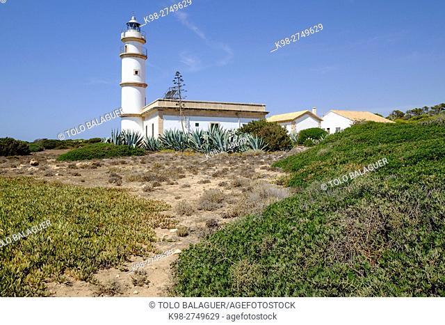 faro de Cap Salines, estacion de investigacion costanera, IMEDEA, Majorca, Balearic Islands, Spain