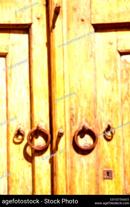 blur in iran antique door entrance and   decorative handle for background