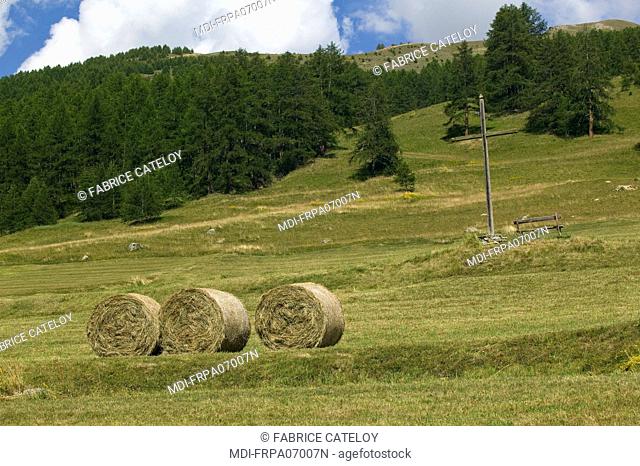 Haystacks in the natural regional park of Queyras