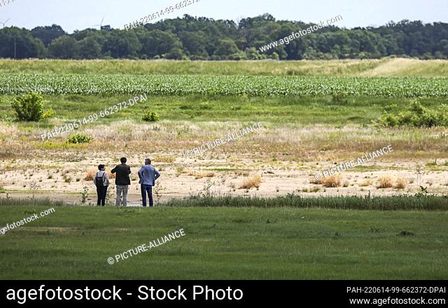 14 June 2022, Saxony-Anhalt, Wittenberg: Three people are looking for the Elbe River, which flows very low due to a lack of water