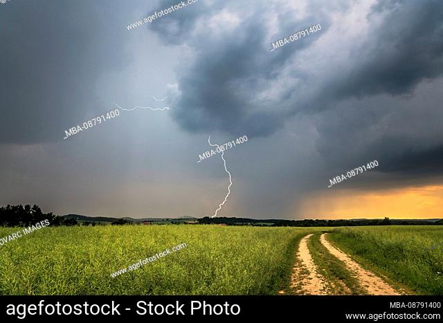 Thunderstorms, storm clouds over a rape field, Thuringia, Germany