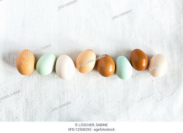 A row of nest eggs on a white linen tablecloth