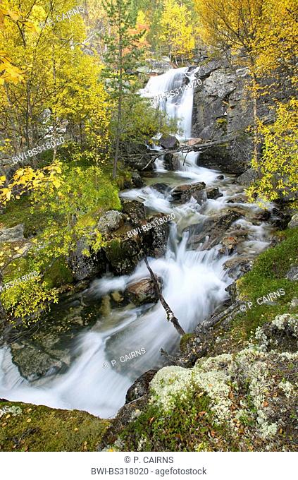 waterfall and river running through ancient boreal forest in autumn, Norway, Hedmark, Stor-Elvdal, Atndalen