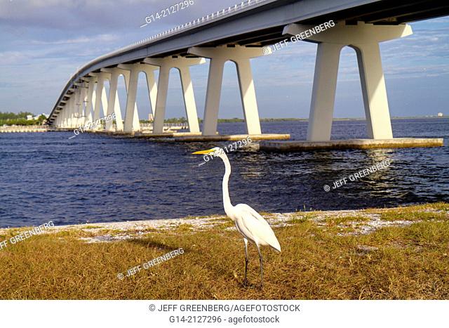 Florida, Fort Ft. Myers, Gulf of Mexico, San Carlos Bay, Sanibel Causeway, bridge, Causeway Islands Park, Sanibel Island, Caloosahatchee River, Hispanic, man