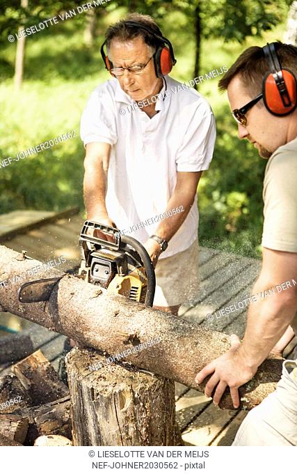 Men cutting log